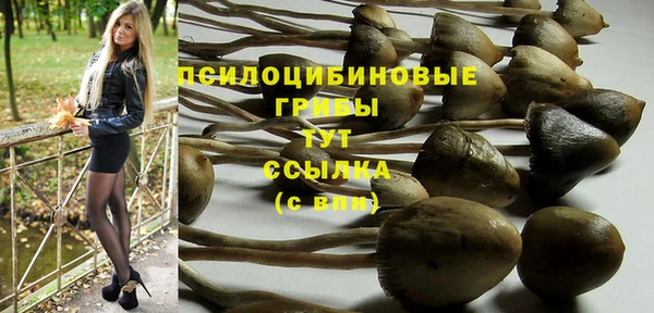гидра Алзамай